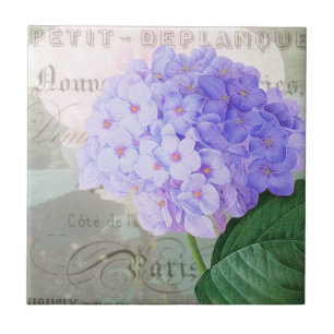 Azulejo Redoute Hydrangea Acento francés Tile cerámico