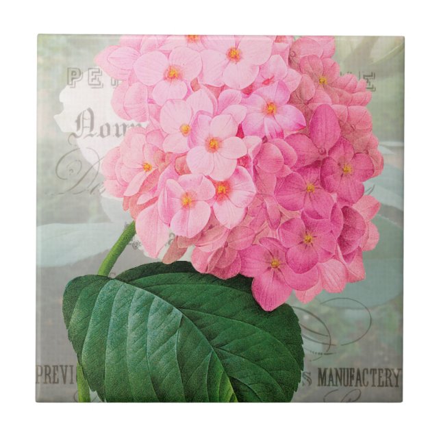 Azulejo Redoute Pink Hydrangea Ceramic Tile (Frente)