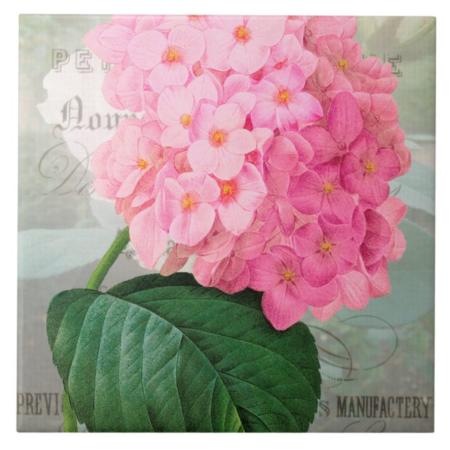 Azulejo Redoute Pink Hydrangea Ceramic Tile (Frente)