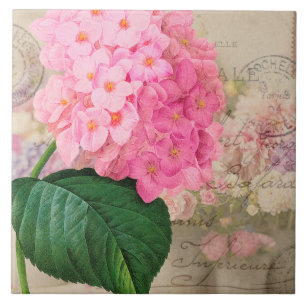 Azulejo Redoute rosado de cosecha de vintage Hydrangea Til