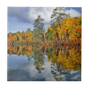 Azulejo Reflejos de estanque en otoño, Maine
