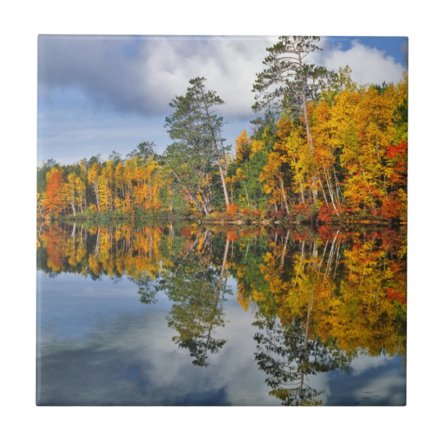 Azulejo Reflejos de estanque en otoño, Maine (Frente)