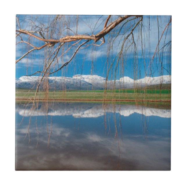 Azulejo Reflejos de Invierno. Ceres, Distrito Boland (Frente)