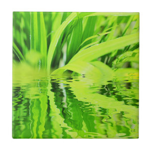 Azulejo Reflexión de la hierba verde brillante súper posit