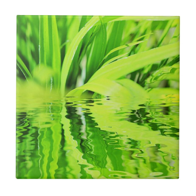 Azulejo Reflexión de la hierba verde brillante súper posit (Frente)