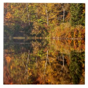 Azulejo Reflexión de otoño en Coffin Pond