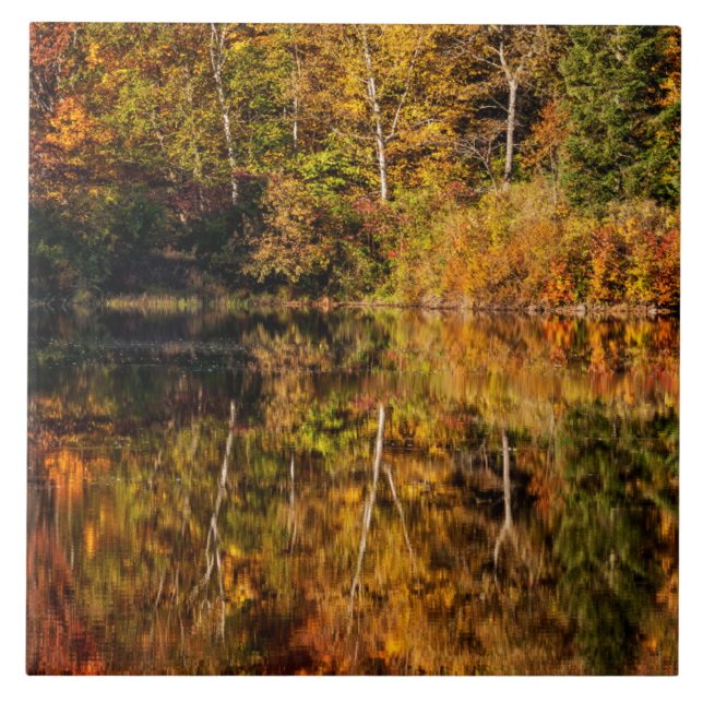 Azulejo Reflexión de otoño en Coffin Pond (Frente)