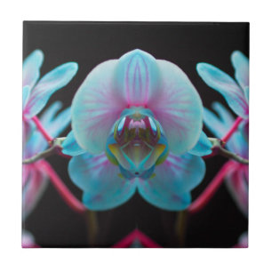 Azulejo Reflexión Exótica de Orquídea Azul