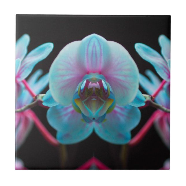 Azulejo Reflexión Exótica de Orquídea Azul (Frente)