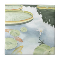 Reflexión sobre el estanque de Koi con peces y lir
