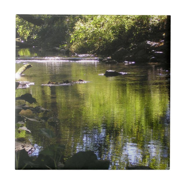 Azulejo Reflexiones (Frente)