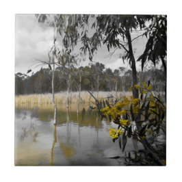 Azulejo Reflexiones bajo los cielos grises