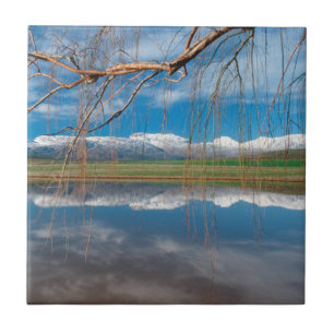 Azulejo Reflexiones de invierno. Ceres, distrito de Boland