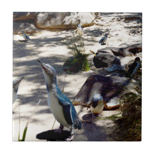Azulejo Refugio seguro: Paraíso de los pingüinos de hadas,