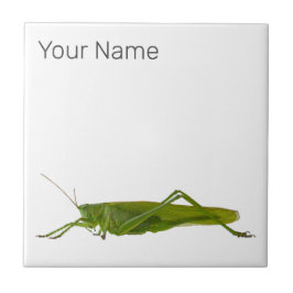 Azulejo Regalo de animales de los insectos de Grasshopper 