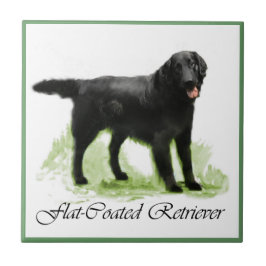 Azulejo Regalos de arte de recuperación plana