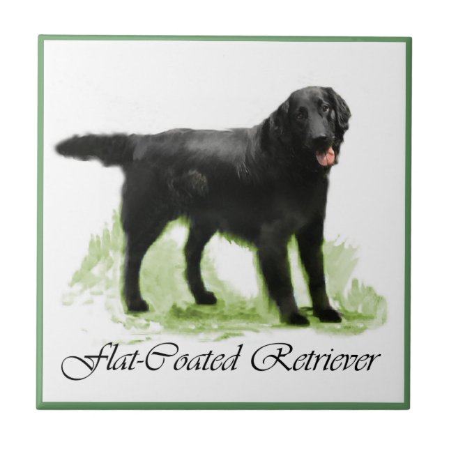 Azulejo Regalos de arte de recuperación plana (Frente)