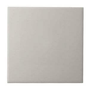 Azulejo Reponer color sólido gris