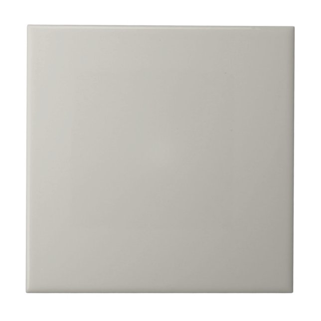 Azulejo Reponer color sólido gris (Frente)