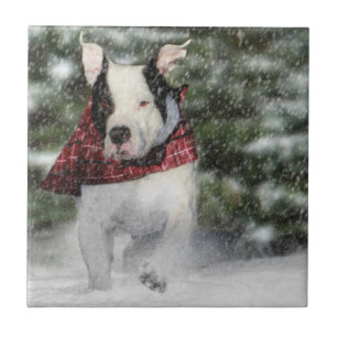 Azulejo Rescate de bulldoges cayendo por la nieve