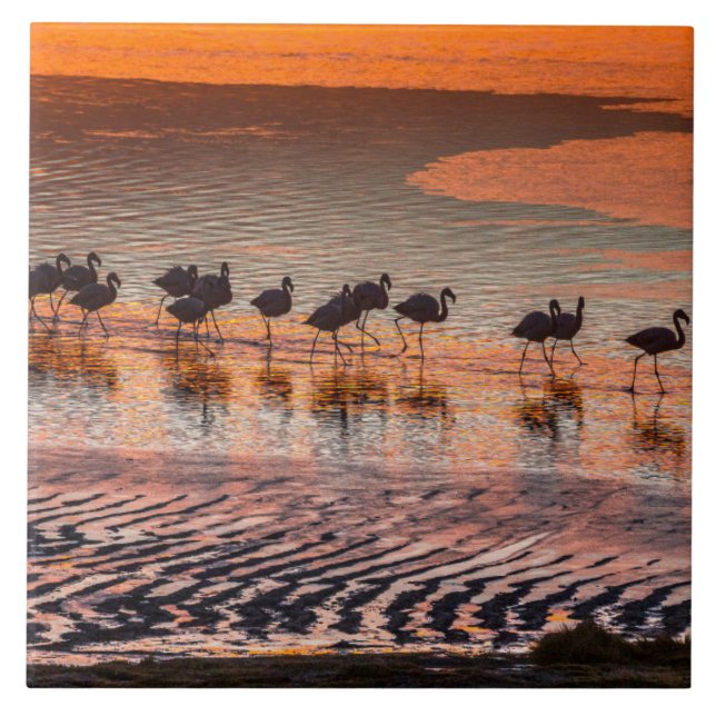 Azulejo Reserva Nacional de la Fauna Andina Eduardo Abaroa (Frente)