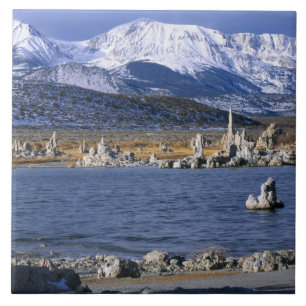 AZULEJO RESERVA NATURAL ESTATAL DE TUFA DEL LAGO MONO,