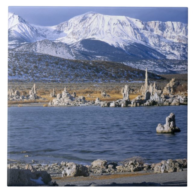 AZULEJO RESERVA NATURAL ESTATAL DE TUFA DEL LAGO MONO, (Frente)