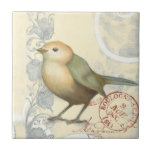 Azulejo Resplandor amarillo y verde sobre fondo vintage<br><div class="desc">Esta imagen inspirada en un boceto es perfecta para su colección de aves. Es sencillo y hermoso añadir a cualquier producto y gustará a cualquier amante del arte vintage. Elija esta huella de arte hoy.</div>