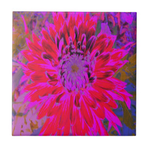 Azulejo Resumen de la flor magenta, púrpura y dahlia roja