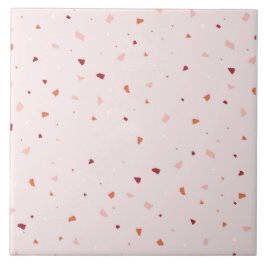 Azulejo Resumen del fondo del suelo de textura de terrazo