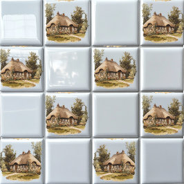 Azulejo Retirada Cardíaca