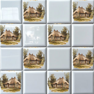 Azulejo Retirada Cardíaca