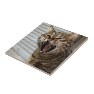 Azulejo Retrato artístico del bostezo del gato de Tabby