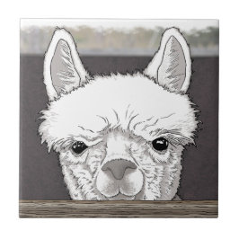 Azulejo Retrato de Alpaca