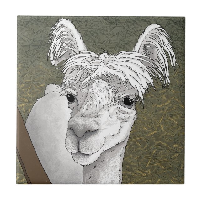 Azulejo Retrato de Alpaca 2 (Frente)