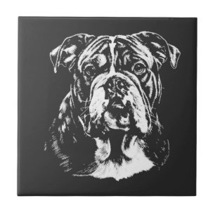 Azulejo Retrato de Bulldog Inglés Ropa Minimalista
