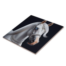 Azulejo Retrato de caballo árabe blanco
