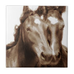 Azulejo Retrato de caballo III<br><div class="desc">Animales</div>