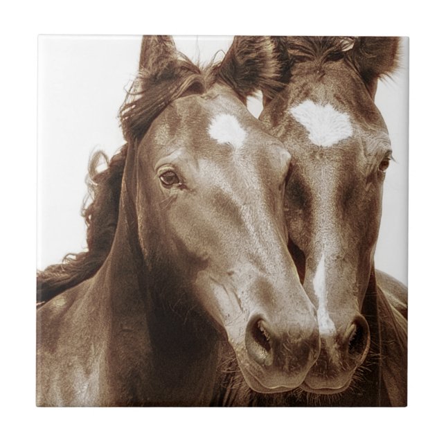 Azulejo Retrato de caballo III (Frente)