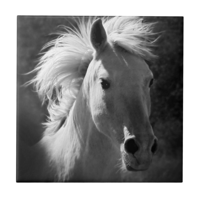 Azulejo Retrato de caballo V (Frente)