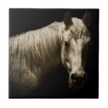 Azulejo Retrato de caballo VI<br><div class="desc">Animales</div>