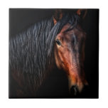 Azulejo Retrato de caballo VII<br><div class="desc">Animales</div>