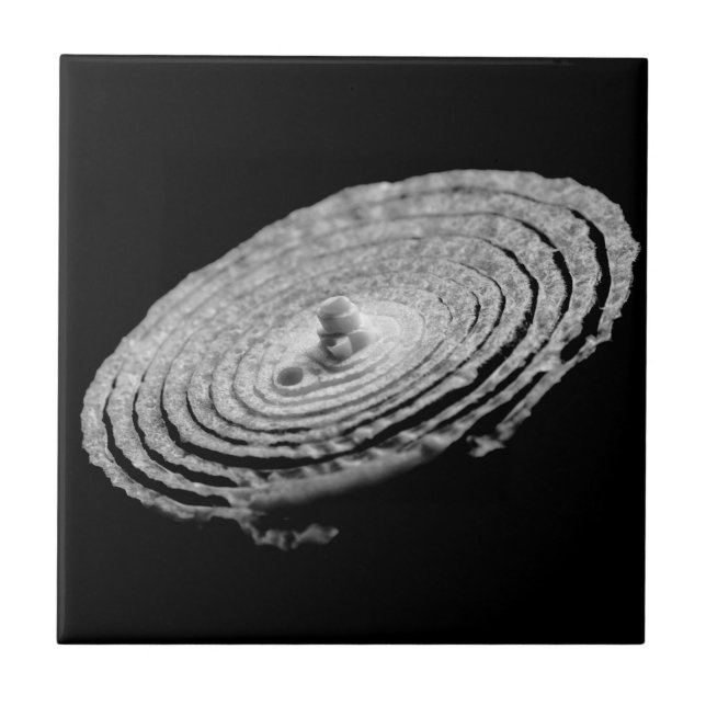 Azulejo Retrato de cebolla (Frente)