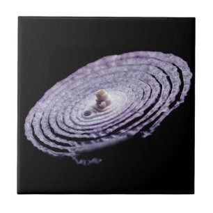 Azulejo Retrato de cebolla roja