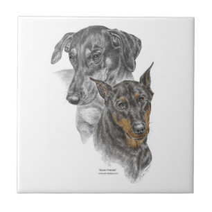 Azulejo Retrato de dos dobermanes
