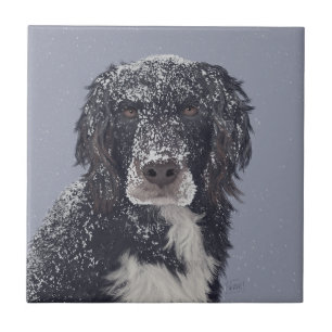 Azulejo retrato de mascota mezcla de perro spaniel 