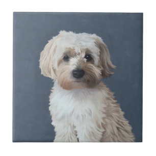 Azulejo retrato de mascota perro Shorkie