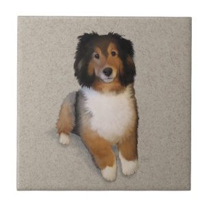 Azulejo retrato de perro mestizo Sheltie