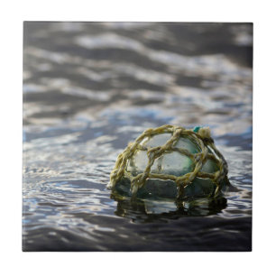 Azulejo Retrato del suelo de pesca de vidrio