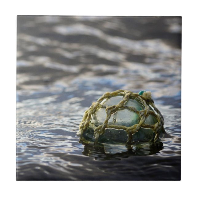 Azulejo Retrato del suelo de pesca de vidrio (Frente)